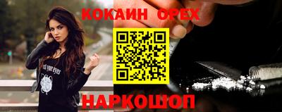шишки Новодвинск