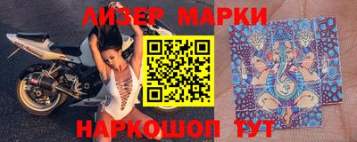 шишки Новодвинск