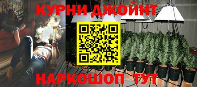 шишки Новодвинск