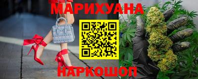 шишки Новодвинск