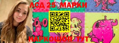 шишки Новодвинск