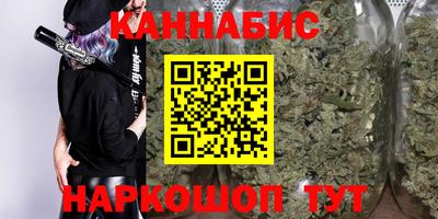 шишки Новодвинск